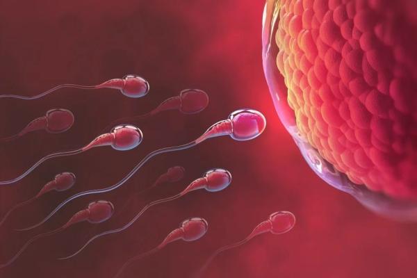 Infertility & Reproductive Health